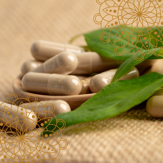 Ayurvedic Herbal Capsules | Holistic Essentials Europe